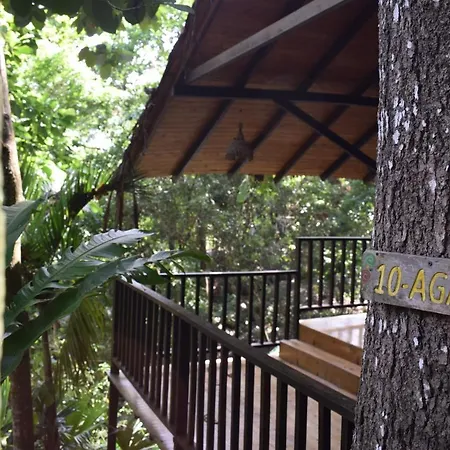 Ecohostal Rio Piedra El Zaino Exterior foto