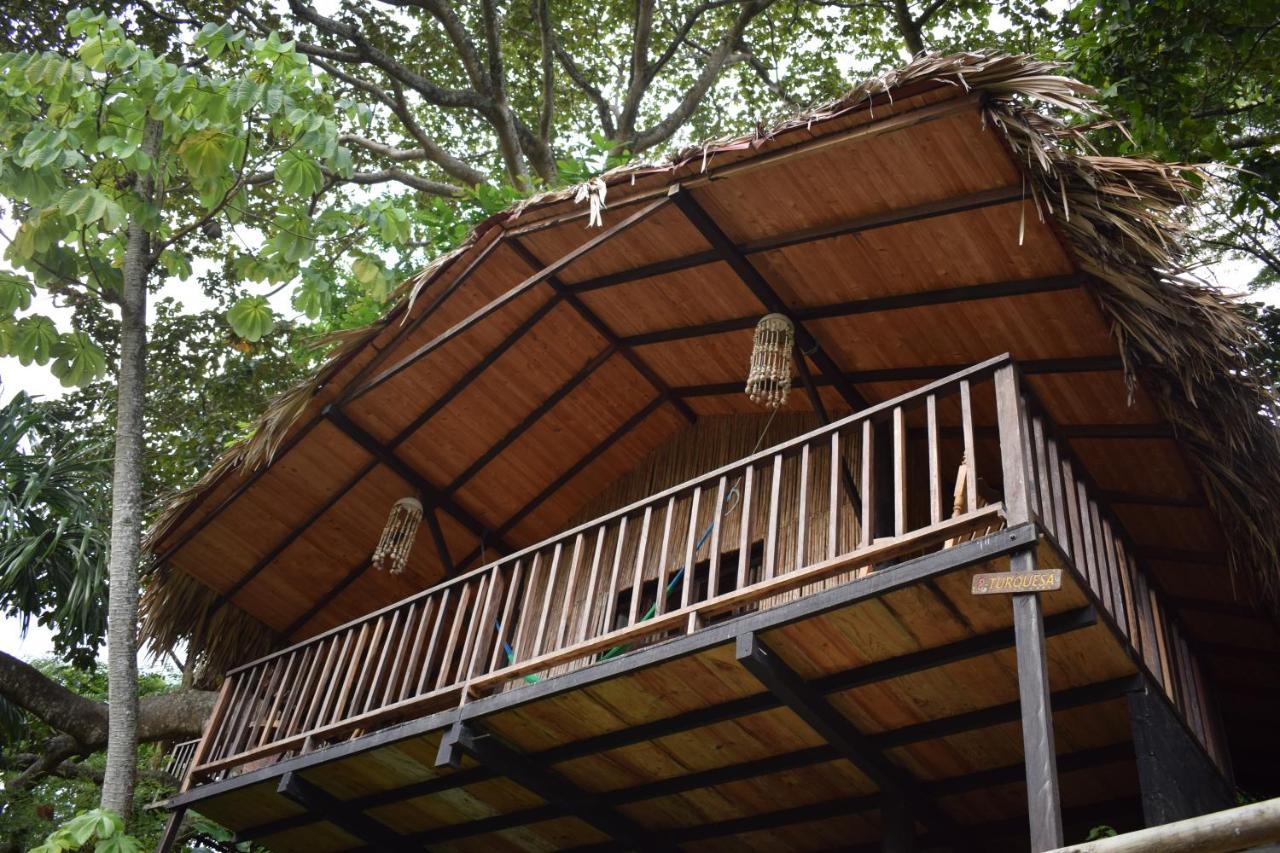 Ecohostal Rio Piedra *