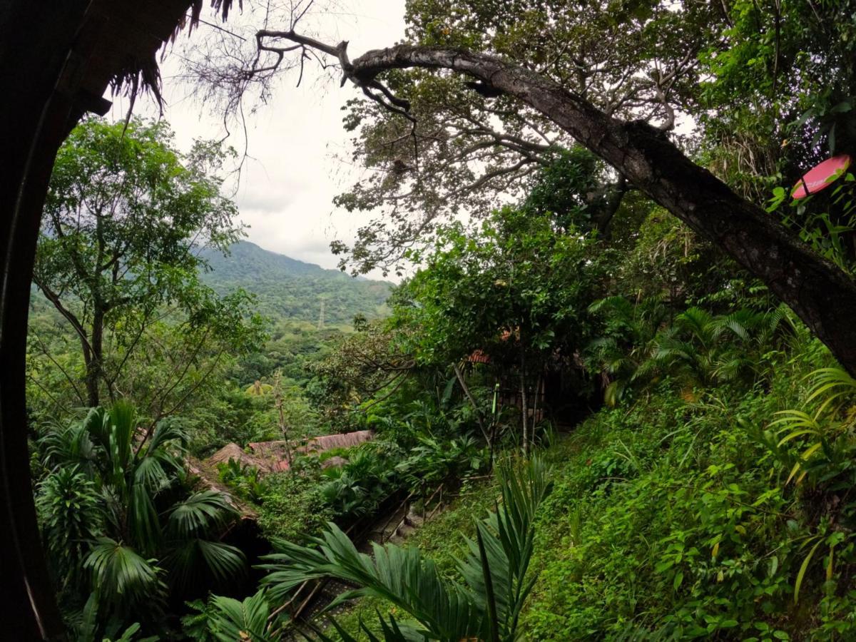 Lodge Ecohostal Rio Piedra