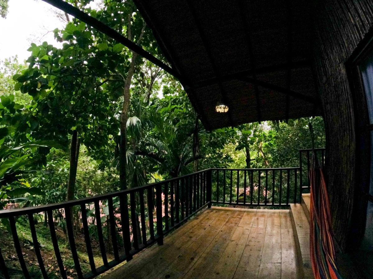 Lodge Ecohostal Rio Piedra