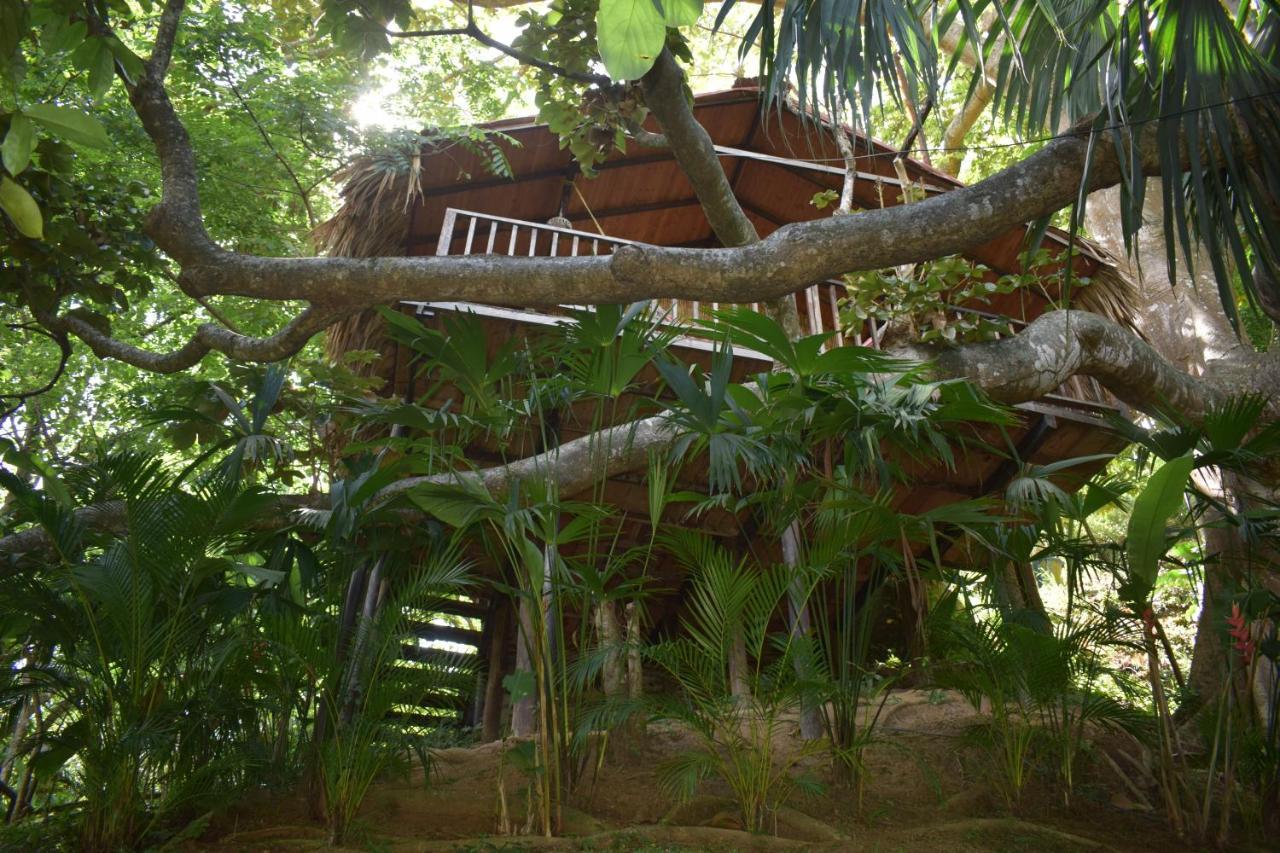 Lodge Ecohostal Rio Piedra *