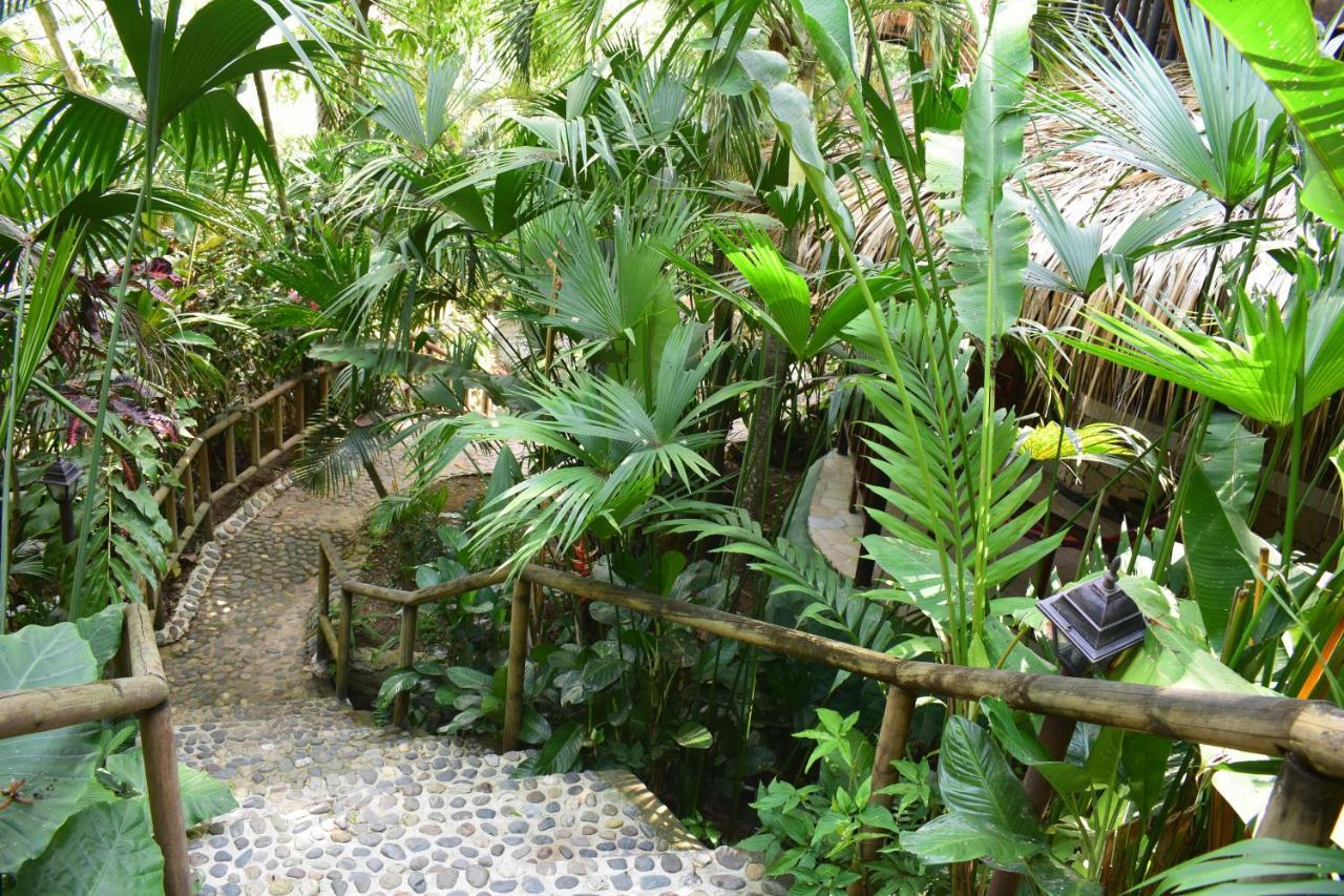 Ecohostal Rio Piedra Lodge El Zaino