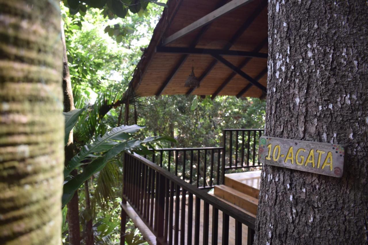 Lodge Ecohostal Rio Piedra *