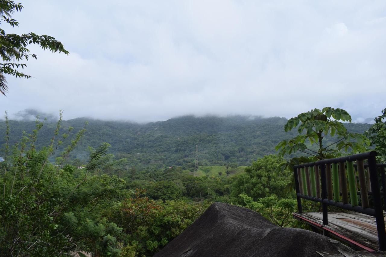 Lodge Ecohostal Rio Piedra