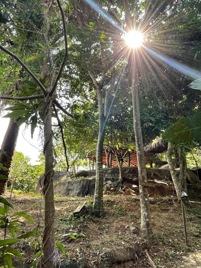 Ecohostal Rio Piedra Lodge El Zaino