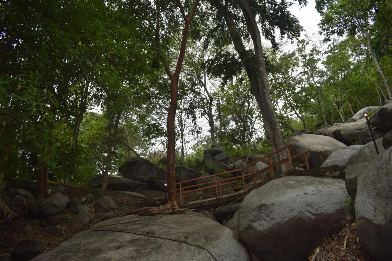 Ecohostal Rio Piedra Lodge